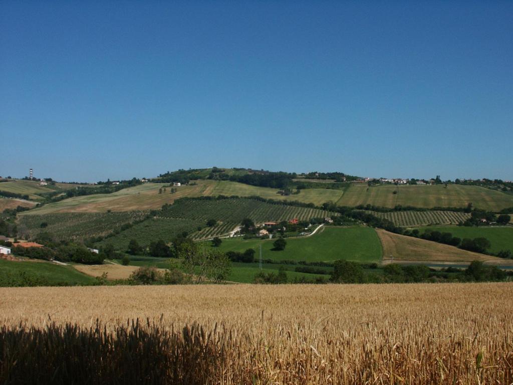 A3Passi Villa Ancona Luaran gambar