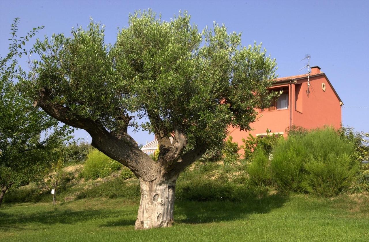 A3Passi Villa Ancona Luaran gambar
